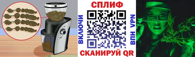 Купить где  Шацк  Canna-Cookies конопля 