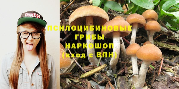 дживик Арсеньев