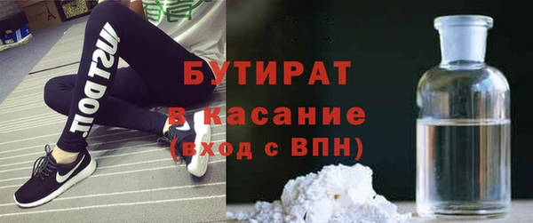 индика Аркадак