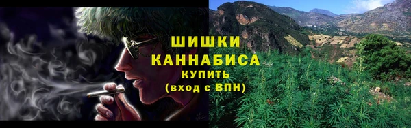 индика Аркадак