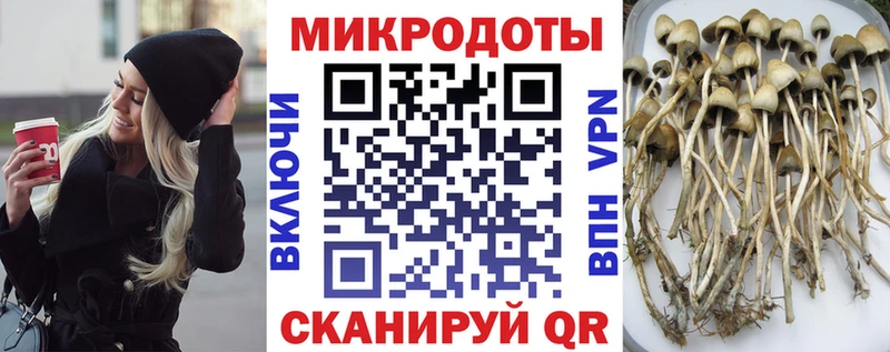 Псилоцибиновые грибы GOLDEN TEACHER  Купить  Шацк 