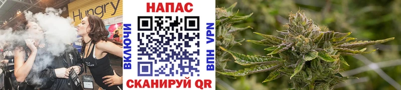 Купить  Шацк  МАРИХУАНА Bruce Banner 